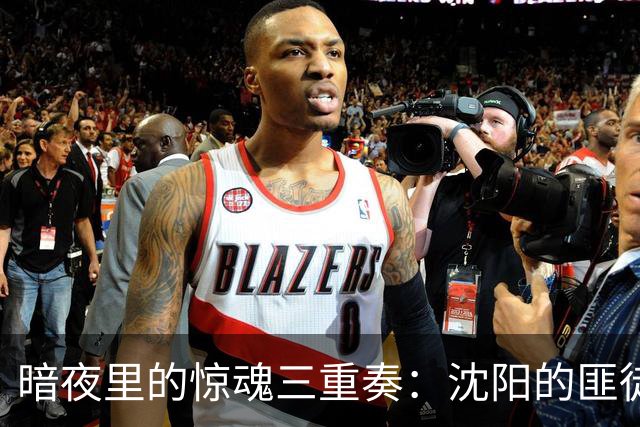 暗夜里的惊魂三重奏：沈阳的匪徒传奇